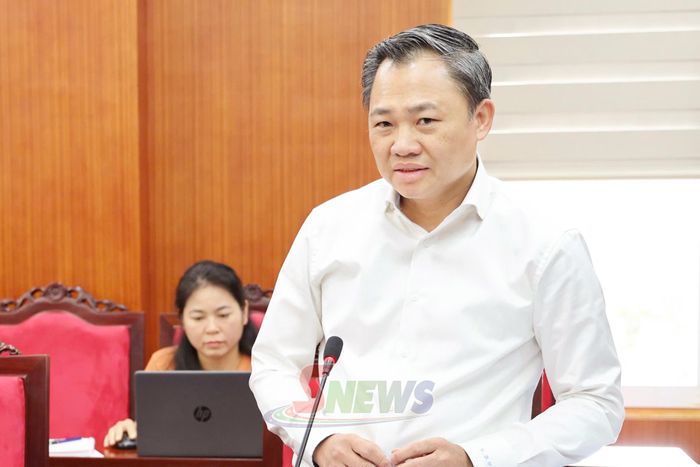 Đồng chí Nguyễn Đình Việt, Phó Bí thư Tỉnh ủy, Chủ tịch UBND tỉnh phát biểu tại cuộc làm việc.
