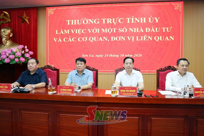 Các đồng chí Thường trực Tỉnh ủy chủ trì cuộc làm việc.