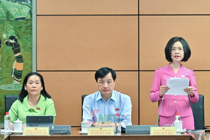 Đại biểu Hoàng Ngân Hoàn phát biểu