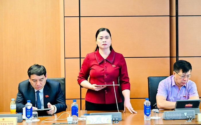 ĐBQH Ma Thị Thúy thảo luận dự thảo Luật sửa đổi, bổ sung một số điều của Luật Bảo vệ môi trường.
