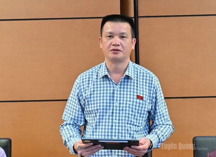 ĐBQH Hoàng Ngọc Định thảo luận.