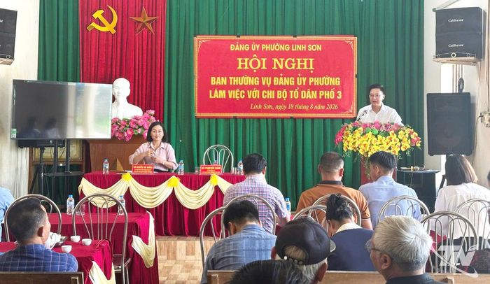 Đảng ủy phường Linh Sơn làm việc với Chi bộ tổ dân phố 3, trực tiếp nắm bắt tình hình, lắng nghe những khó khăn, vướng mắc sau sắp xếp (tháng 8-2026).