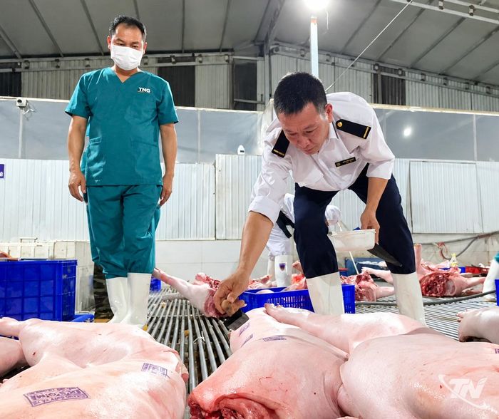 Viên chức Chi cục Chăn nuôi, Thú y và Thủy sản tỉnh Thái Nguyên đóng dấu kiểm soát giết mổ tại cơ sở giết mổ gia súc, gia cầm.