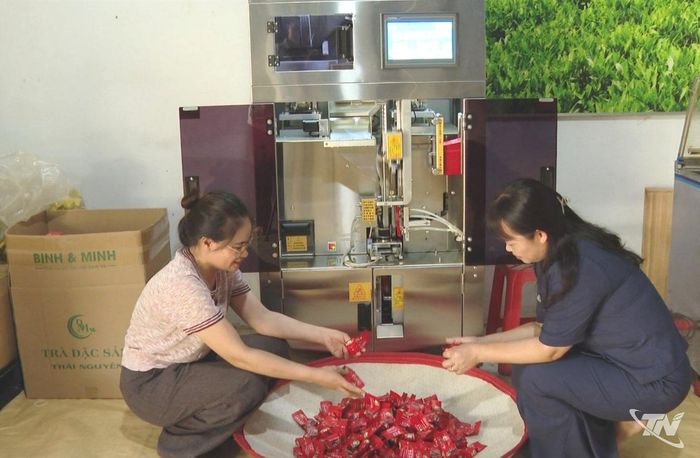 Các Hợp tác xã chè của Đại Phúc chuẩn bị các sản phẩm chè để đưa đến Festival Trà