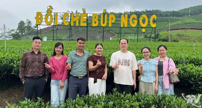 Du khách check-in tại đồi chè Búp Ngọc.