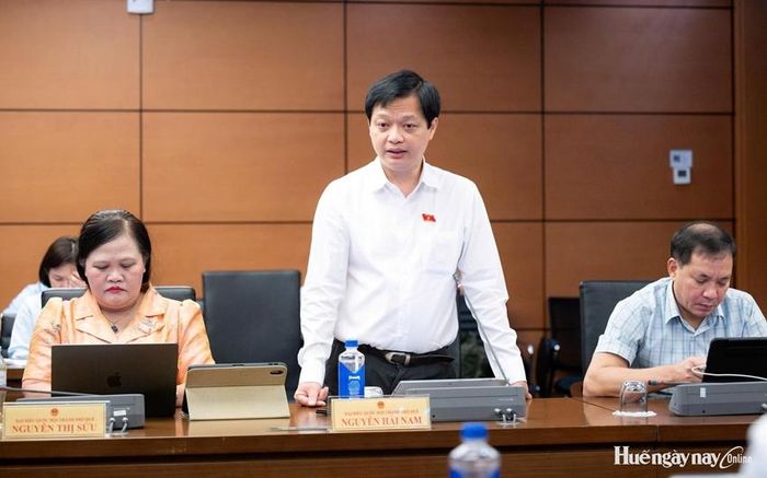 Đại biểu Nguyễn Hải Nam tham gia thảo luận. Ảnh: Đoàn ĐBQH thành phố cung cấp