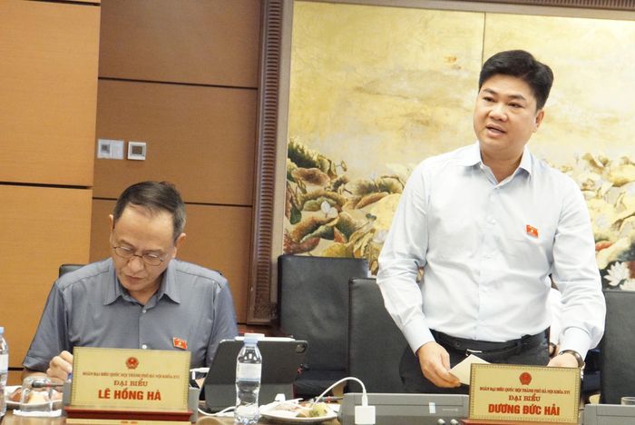 ĐBQH Dương Đức Hải phát biểu tại tổ sáng 24/10. Ảnh: Văn Duẩn.