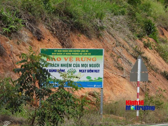 Lâm Đồng đẩy mạnh công nghệ số như sử dụng thiết bị UAV, phần mềm SMART, GPS và bản đồ số phục vụ giám sát diện tích rừng từ trên cao. (Ảnh: C.H)