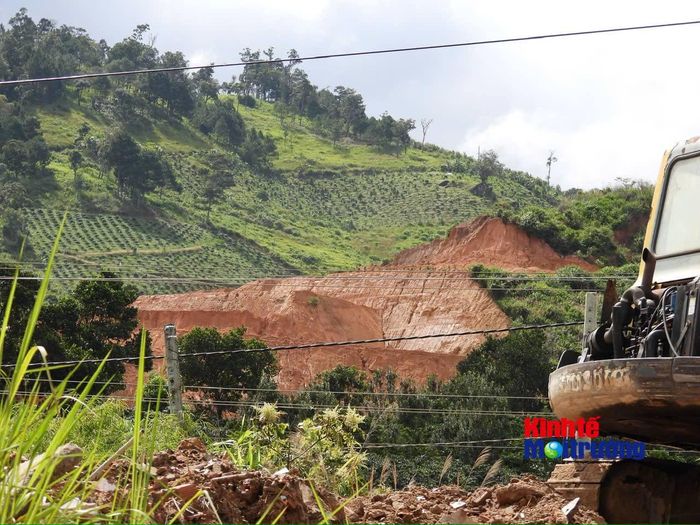 Thực tế 9 tháng đầu năm 2026, tỉnh Lâm Đồng ghi nhận phát hiện hơn 420 vụ vi phạm lâm luật (Ảnh: C.H)