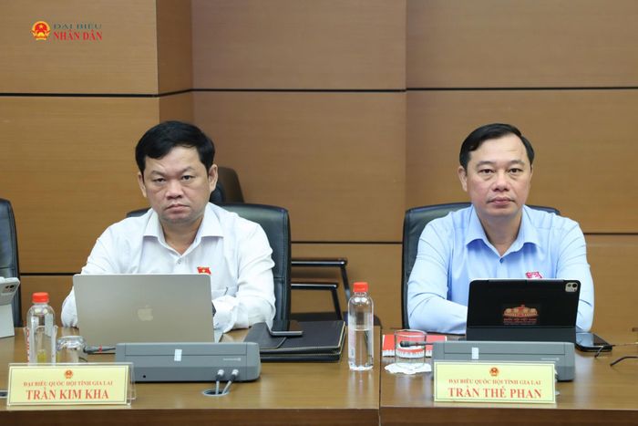 Các ĐBQH tỉnh Gia Lai tham dự thảo luận tổ. Ảnh: An Nhiên