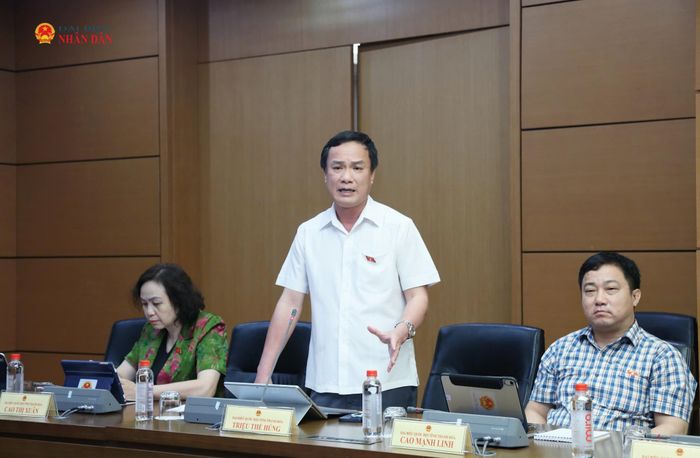 ĐBQH Triệu Thế Hùng (Thanh Hóa) phát biểu thảo luận tổ. Ảnh: An Nhiên