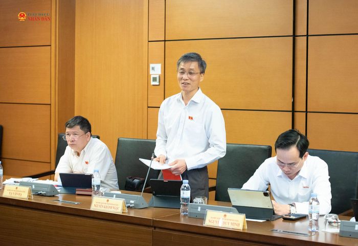 ĐBQH Nguyễn Khánh Ngọc (TP. Đà Nẵng) phát biểu. Ảnh: Xuân Quý