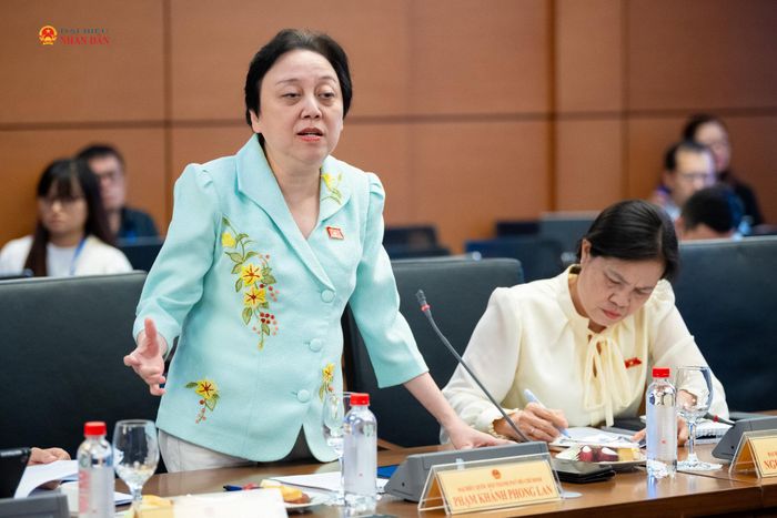 ĐBQH Phạm Khánh Phong Lan (TP. Hồ Chí Minh) phát biểu thảo luận tại Tổ 2