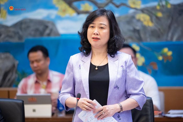 Bộ trưởng Bộ Y tế Đào Hồng Lan phát biểu tại phiên thảo luận tổ. Ảnh: Phạm Thắng