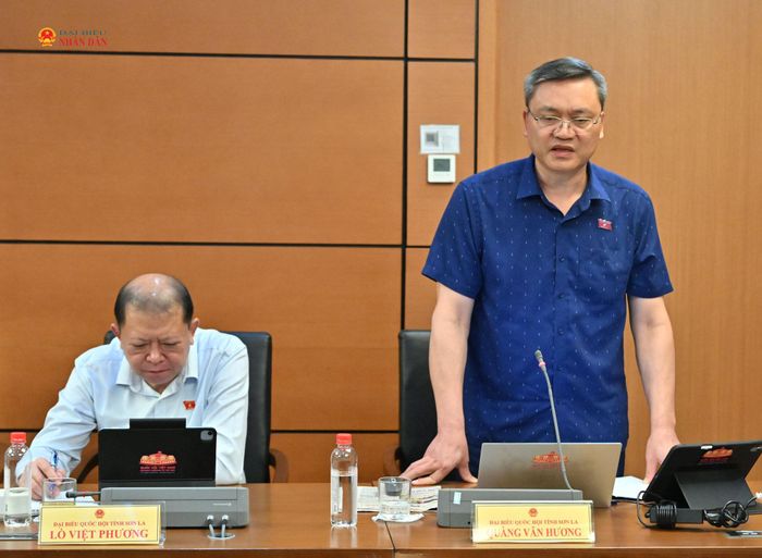 ĐBQH Quàng Văn Hương (Sơn La) phát biểu. Ảnh: Quang Khánh