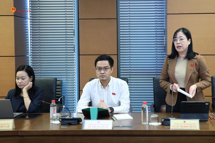 ĐBQH Nguyễn Thị Hồng Phượng (Đồng Tháp) phát biểu