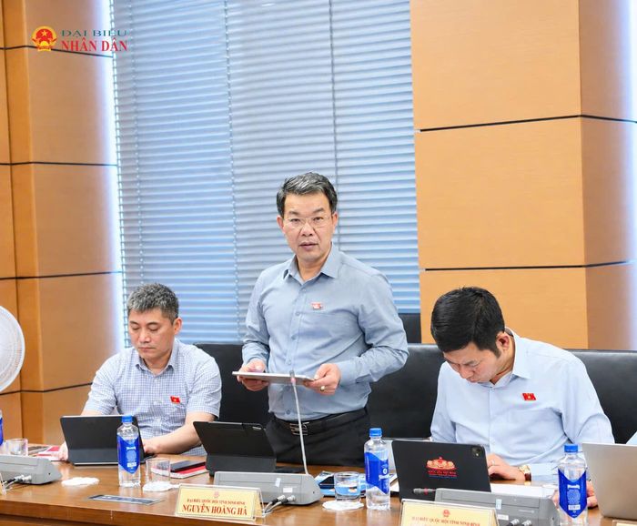 ĐBQH Nguyễn Hoàng Hà (Ninh Bình) phát biểu