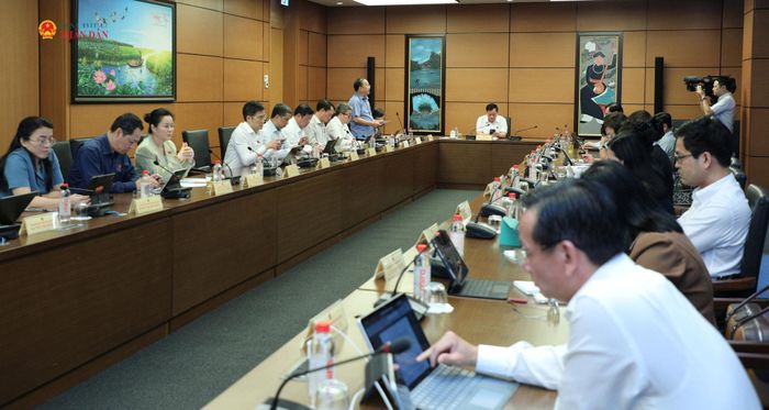Toàn cảnh phiên thảo luận Tổ 10