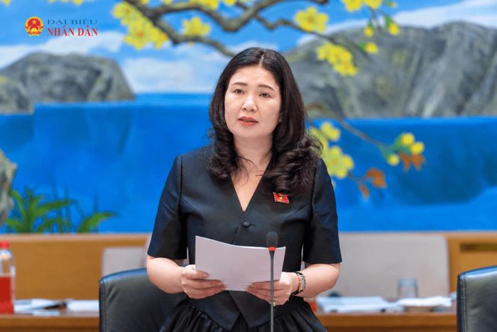 ĐBQH Trần Thị Vân (TP. Bắc Ninh) phát biểu tại phiên thảo luận tổ