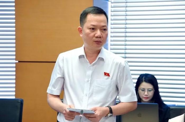 Đại biểu Trịnh Xuân An.