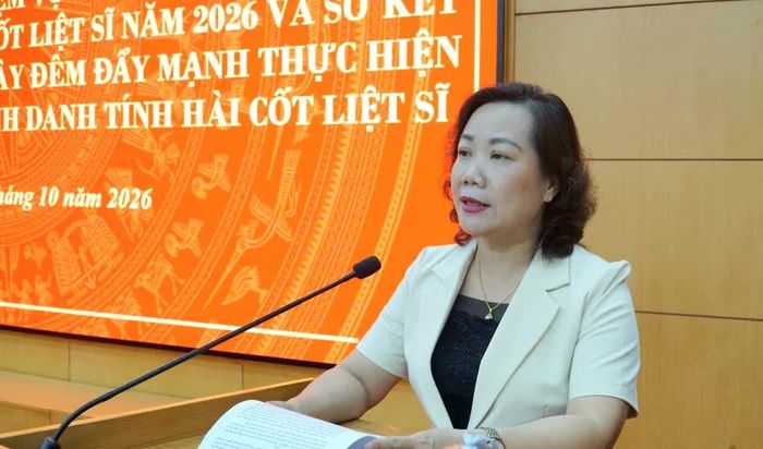 Phó Chủ tịch UBND tỉnh Hà Nhật Lệ phát biểu kết luận hội nghị.