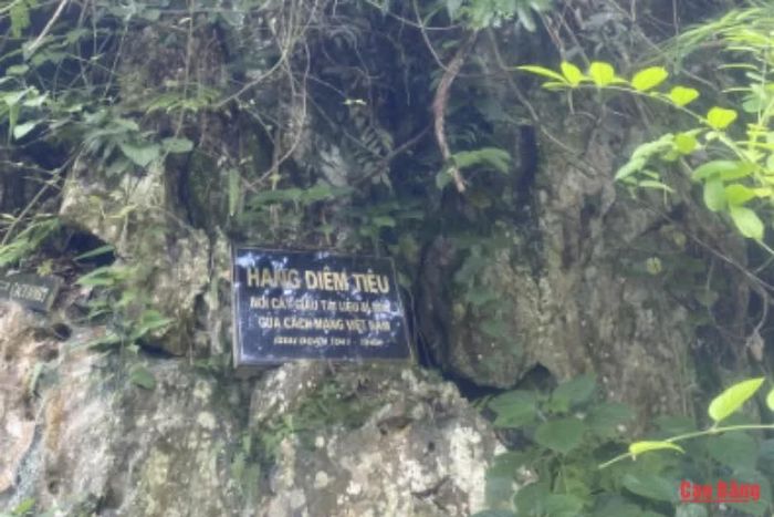Hang Diêm Tiêu nằm trên vách đá cao, cây cối che kín cửa hang, từng được sử dụng làm hòm thư liên lạc bí mật và nơi cất giấu tài liệu cách mạng giai đoạn 1941 -1945.