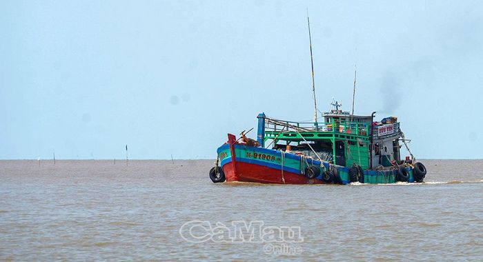 Phương tiện hoạt động trên biển trong thời điểm mưa bão phải trang bị đầy đủ áo phao, phao cứu sinh, thiết bị an toàn theo quy định.