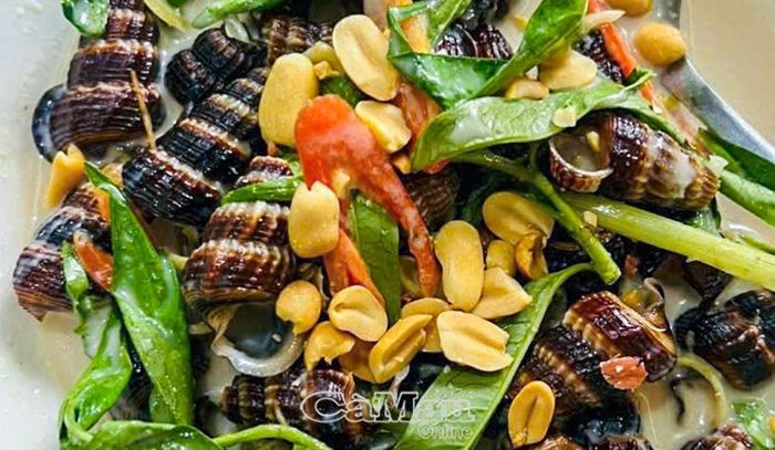 Ốc len được chế biến thành nhiều món ăn hấp dẫn như xào sa tế, xào nước cốt dừa, luộc sả và luộc lá ổi, hấp dẫn thực khách.