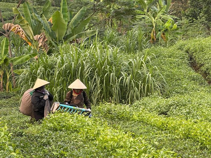 Để giải quyết thành công các vụ mâu thuẫn thông qua hòa giải từ sớm thì việc nắm bắt tình hình cũng như tâm tư nguyện vọng của bà con phải rất kịp thời. Ảnh: ĐỨC HUY