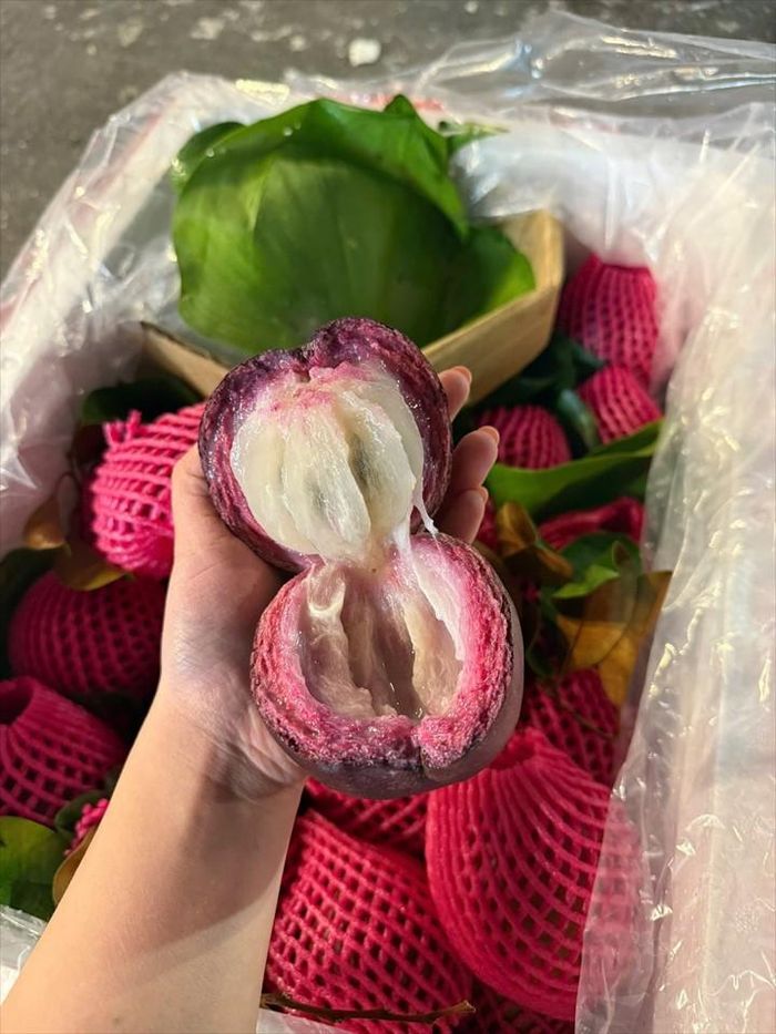 Giá bán vú sữa Lò Rèn hiện dao động khoảng 30.000–60.000 đồng/kg, tùy phân loại và từng thời điểm trong năm. Ảnh: VietNamnet