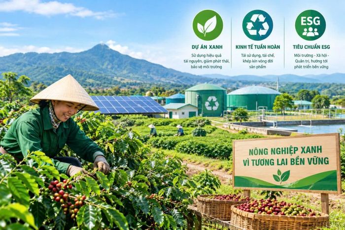  Mô hình nông nghiệp xanh kết hợp sử dụng năng lượng tái tạo, tái chế và quản lý tài nguyên hiệu quả góp phần thúc đẩy kinh tế tuần hoàn, hướng tới phát triển bền vững. 