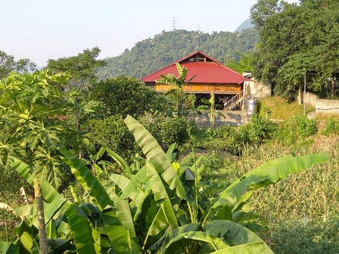 Những nếp nhà sàn truyền thống vẫn bình yên nơi xóm núi. Ảnh NT