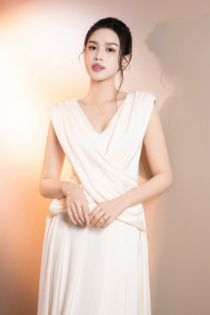 Đỗ Thị Hà từng đảm nhận vai trò đồng sáng lập kiêm CEO của một thẩm mỹ viện quốc tế.