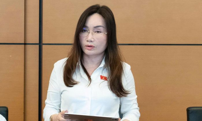 Đại biểu Quốc hội Phạm Thu Xanh.