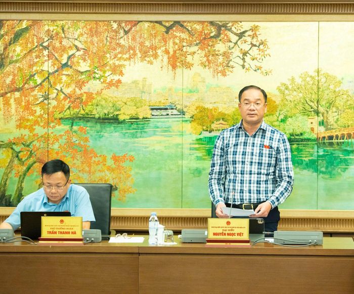 Đại biểu Nguyễn Ngọc Việt tham gia thảo luận tại tổ. Ảnh: Xuân Quý