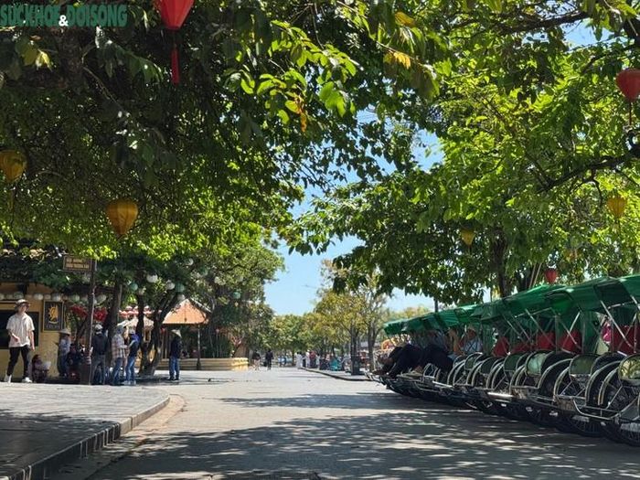 Hàng loạt xe xích lô nằm chờ khách trên đường Bạch Đằng. Ảnh: Bích Vân