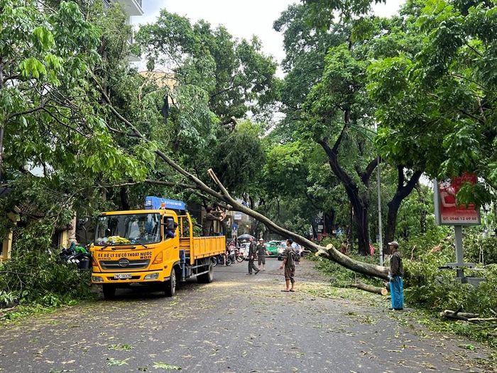 Bên cạnh quy hoạch, quản lý cây xanh đô thị cần được thực hiện đồng bộ, từ lựa chọn chủng loại, chăm sóc, đánh giá sức khỏe, chất lượng đất, khả năng chống chịu thời tiết cực đoan đến kiểm soát nguy cơ gãy đổ, bảo đảm cây phát triển bền vững và phát huy hiệu quả che mát, điều hòa vi khí hậu. Ảnh: Tuấn Đông