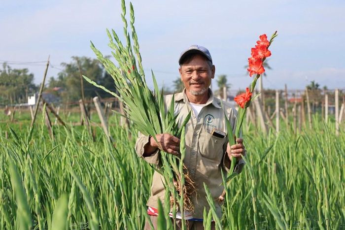 Nông dân xã An Phú trao truyền kinh nghiệm chăm sóc hoa lay ơn. Ảnh: NĐ