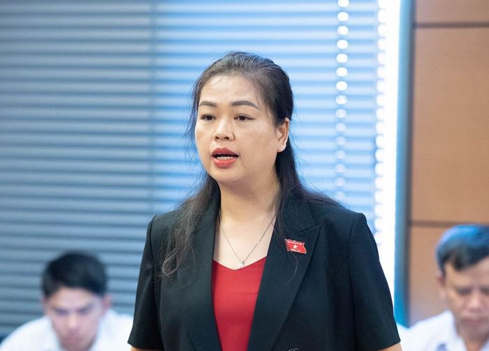 Đại biểu Đoàn Thị Lê An, Đoàn ĐBQH tỉnh Cao Bằng nêu ý kiến