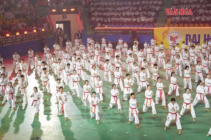 Màn trình diễn võ thuật Karate. Ảnh: S.Thùy