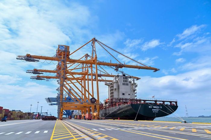 Hoạt động xuất nhập khẩu tại cảng Lạch Huyện, thành phố Hải Phòng. (Ảnh: MỸ HÀ)