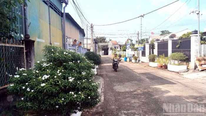 Tuyến đường "sáng, xanh, sạch, đẹp" ở ấp Phú Cường, xã Thống Nhất.