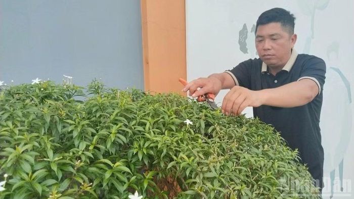 Người dân ấp Phú Cường, xã Thống Nhất thường xuyên chăm chút cảnh quan khu dân cư.