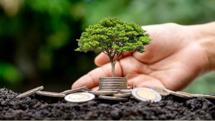 Ảnh minh họa. (Nguồn: Ảnh stock của Canva)