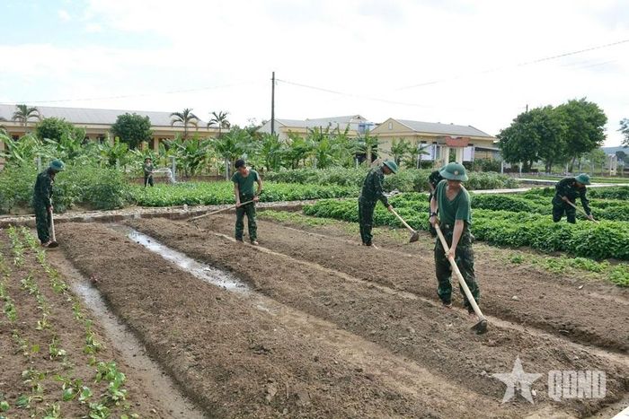 Làm đất, chuẩn bị xuống giống vụ rau mới.
