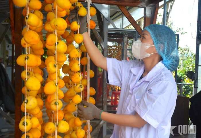  Ngoài ăn tươi, hồng Đà Lạt được chế biến thành nhiều sản phẩm khác nhau như hồng sấy gió, mứt hồng, kem hồng, rượu hồng.
