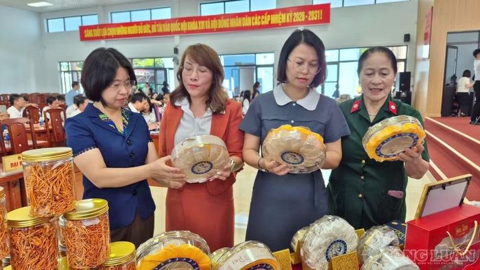 Việc ứng dụng thương mại điện tử được kỳ vọng tạo thêm động lực cho các mô hình khởi nghiệp, giúp sản phẩm địa phương có cơ hội tiếp cận thị trường rộng hơn