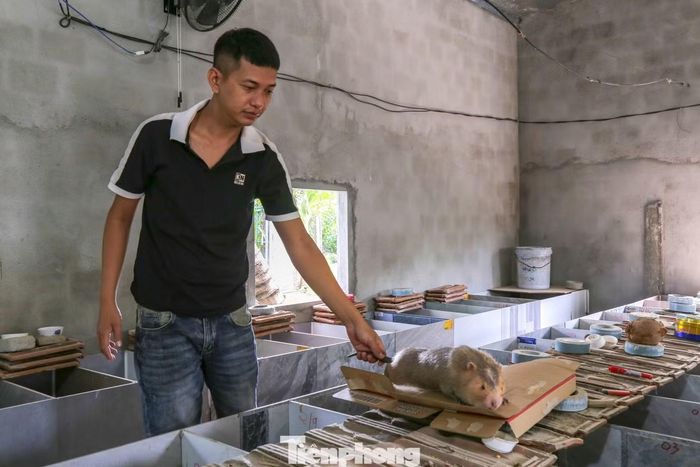 Từ 14 con dúi, chàng trai Gia Lai gây dựng cơ nghiệp ở quê nhà.