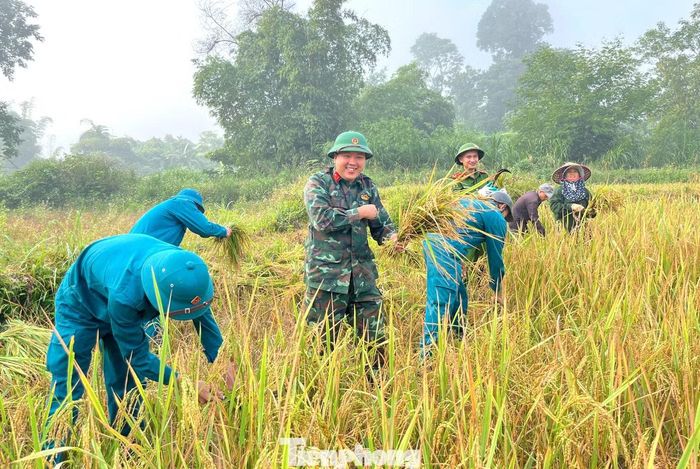 Những hoạt động cho thấy tinh thần trách nhiệm, sự gần gũi của tuổi trẻ và lực lượng vũ trang đối với cộng đồng. Màu áo xanh giữa đồng lúa không chỉ góp sức làm nên mùa vàng trọn vẹn hơn, mà còn vun đắp tình làng nghĩa xóm, lan tỏa những giá trị tốt đẹp bằng hành động thiết thực, nhất là với gia đình có công với cách mạng, hộ neo người và những hoàn cảnh còn nhiều khó khăn.