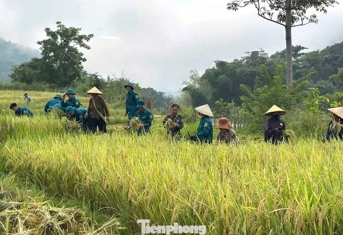 Ở xã Hữu Kiệm, cán bộ, chiến sĩ Ban Chỉ huy Quân sự xã cũng tích cực tham gia giúp người dân thu hoạch lúa. Bằng những việc làm cụ thể, lực lượng dân quân góp sức cùng bà con chạy đua với thời tiết, đưa lúa chín về nhà, giảm bớt gánh nặng cho những gia đình thiếu lao động.